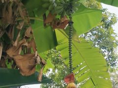 -云溪植物园