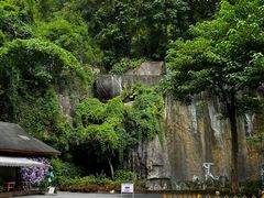 -西双版纳原始森林公园