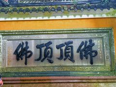 -普陀山风景区-佛顶山