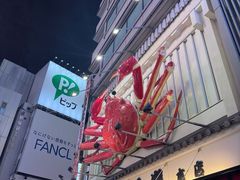 -蟹道乐(道顿堀本店)