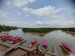 -东寨港红树林旅游区