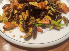 生炒蚕蛹-阿春传统老菜馆(民航路店)