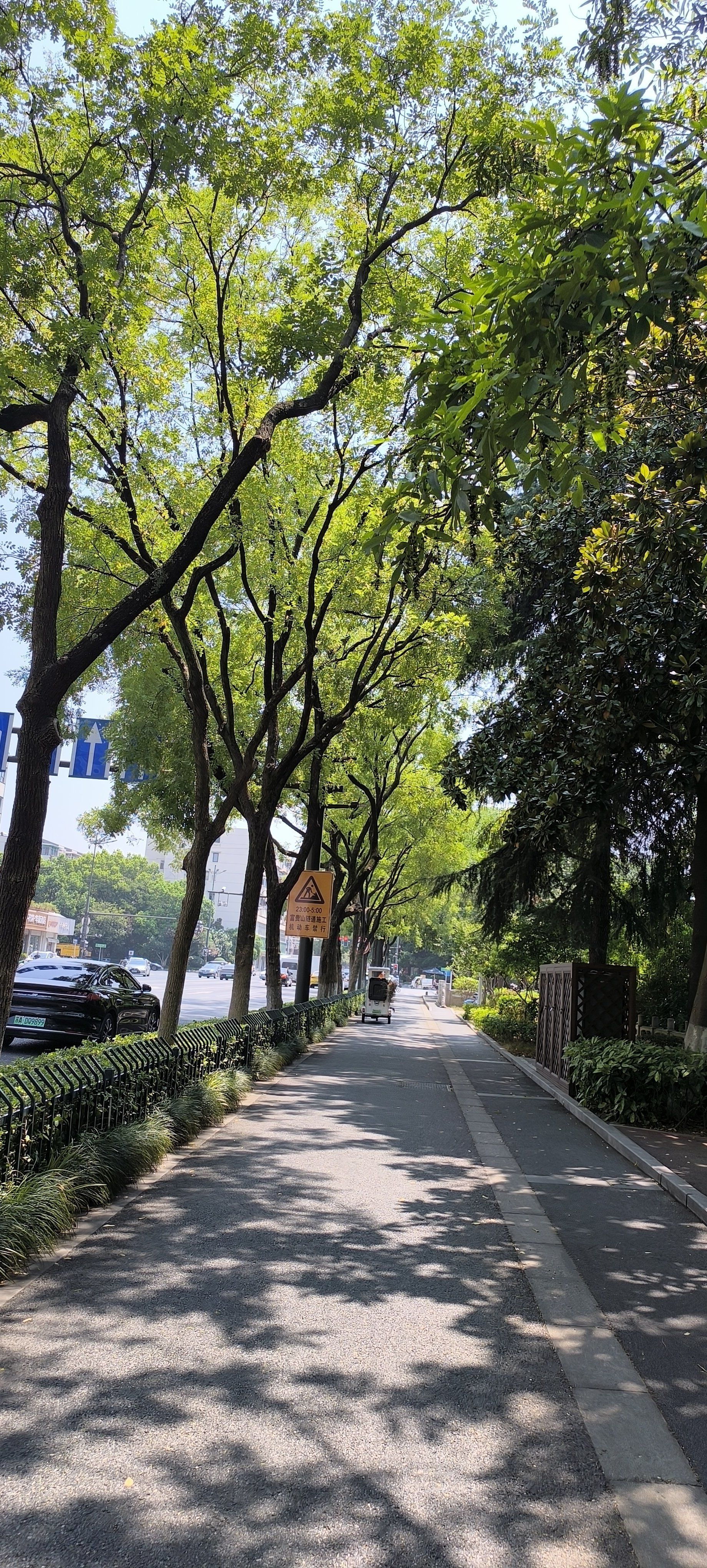 人行道旁的风景