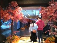 -飞扬影城(正佳IMAX店)