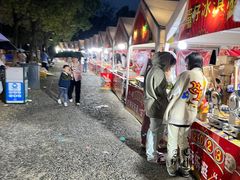 -田园东方蜜桃村的田野营地