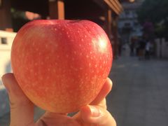 -gaga(金光华店)