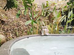 -汇雅温泉