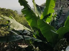 -韬光茶庵