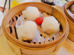 金牌虾饺皇-点都德(华强南店)