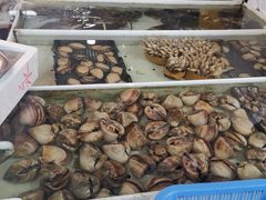 -南沙十九涌渔人码头-南门