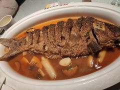 -阿五黄河大鲤鱼(英协路店)