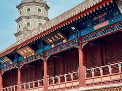 -天津大悲禅院