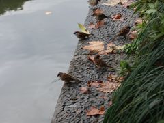 -杭州湖滨in77