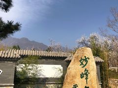 -阳台山自然风景区