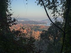 -九曜山