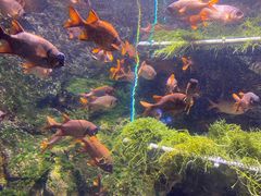 -太平洋海底世界