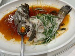 -大东海海鲜酒楼(渔人码头总店)