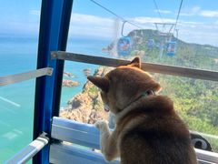 -摩天岭风景区
