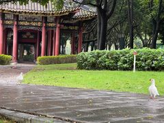 -顺峰山公园
