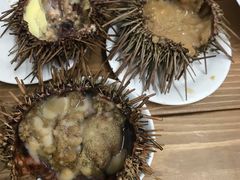 -海胆小馆(东北水饺·春柳店)