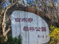 -白水寺森林公园