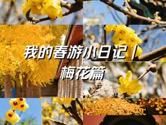 -月坛公园