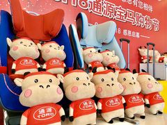 -南充通源宝马4S店(高坪店)