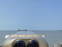 -上海滨江森林公园