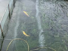 -天源渔港农庄