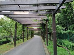 -九龙潭景区