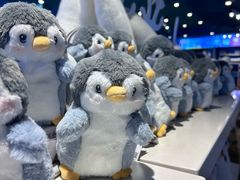 -成都浩海立方海洋公园