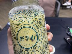 -野萃山·潮汕厚果汁(十亩地店)