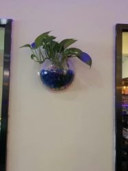 -BM SALON