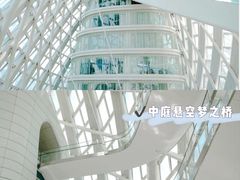 -凤凰中心