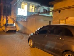 -ZING鲸鱼啤酒(葡萄院店)