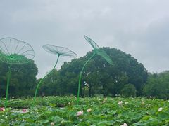 -无锡蠡湖国家湿地公园-蠡园
