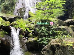 -藏龙百瀑风景区