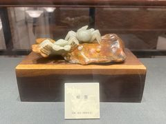 -大连自然博物馆