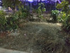-长洲岛