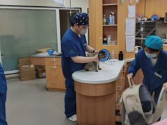-联合动物医院(光谷诊疗中心)
