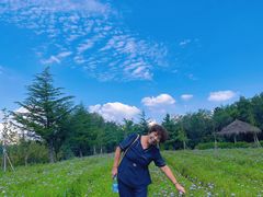 -九龙池景区