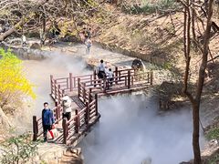 -北京西山国家森林公园