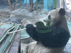 -乐和乐都主题乐园