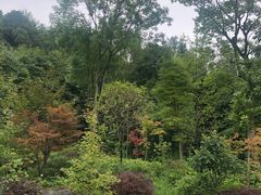 -太阳湾风景区