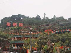 -枇杷园食为鲜火锅(南山店)