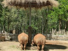 -北京野生动物园