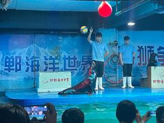 -邯郸海洋世界