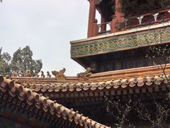 -故宫博物院(故宫)