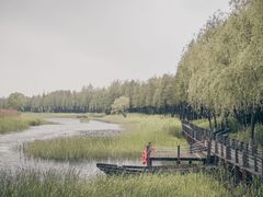 -太湖湖滨国家湿地公园-停车场