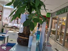 -百佳华超市(松岗店)